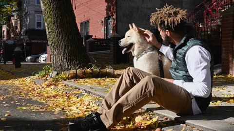 Amazing Dog Video #shotrs #shortvideo #animal #trending #dog #cute