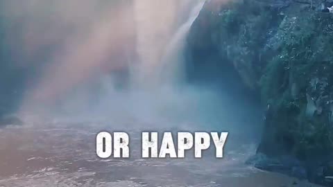 Would You Rather be Happy?