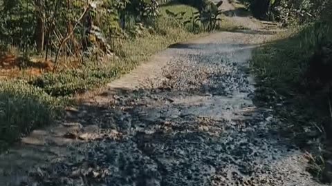 Perjalanan
