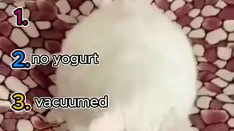So cute