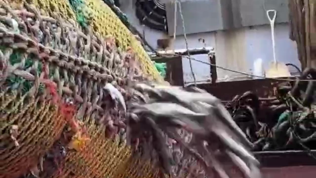 we don't even want to know how many ships are raping the ocean like this