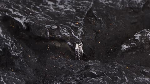 8 Pcs Stainless Steel Rings, High Polished Band Wedding Engagement Vintage Spinning Rings.