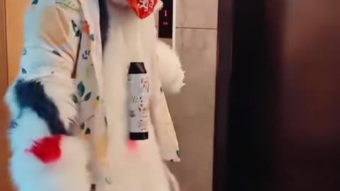 .