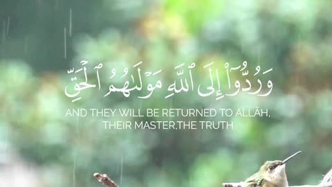 🔥Surah Yunus 10 30⚖️سورة يونس🌌 #quran #shorts #viral #love #youtubeshorts #trending #shortvideo