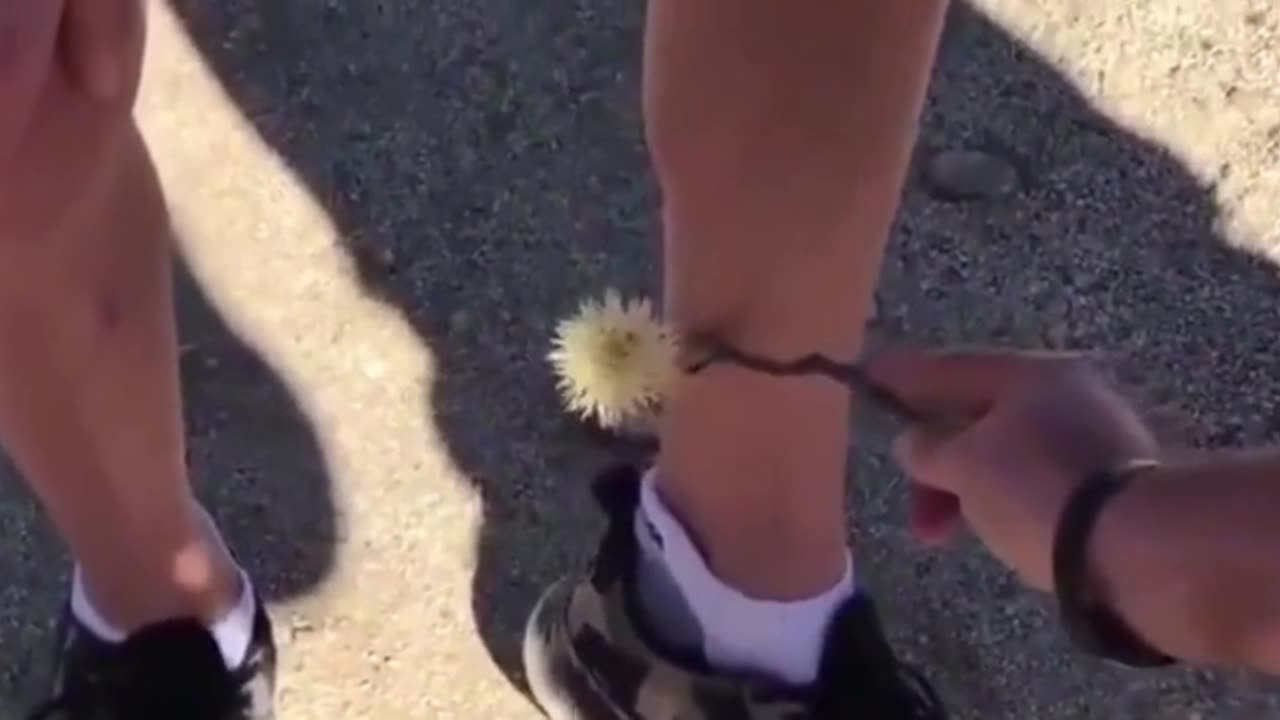😂💡 Genius Hack to Remove a Thorny Ball! | FunFM