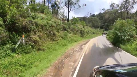 Ambewela | Nuwara Eliya | Sri Lanka