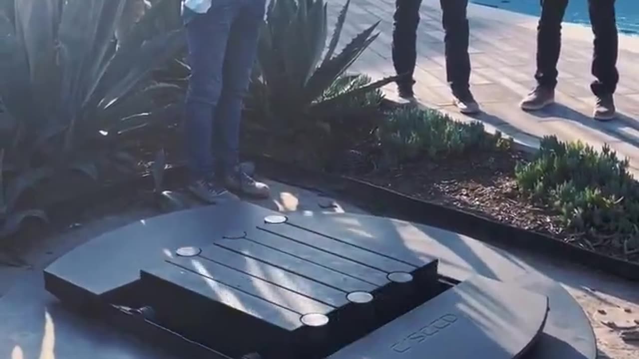 Imagine you’re rich and your TV can do this
