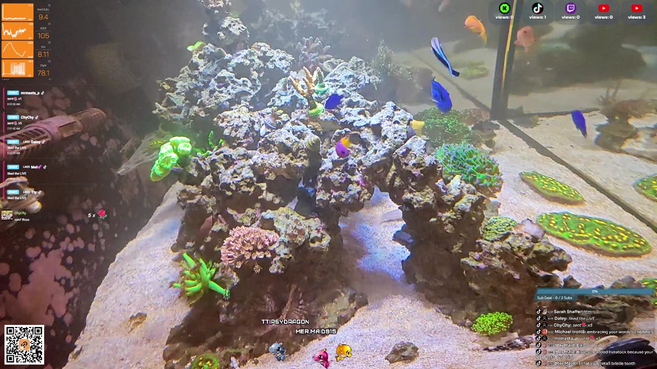 24/7 Real Live Reef Stream