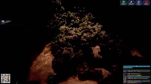 24/7 Real Live Reef Stream