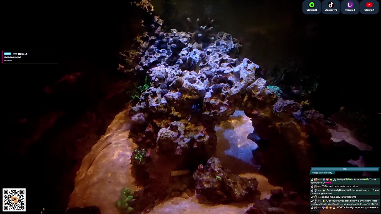24/7 Real Live Reef Stream