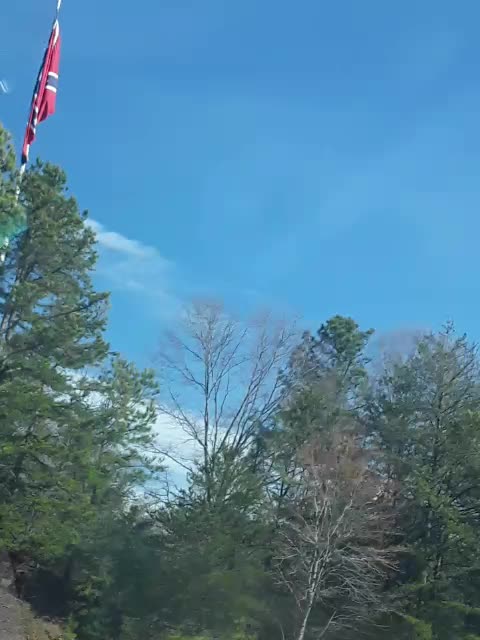 Dixie kinda day 💜