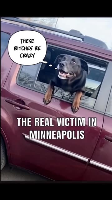 Good Vibrations: Featuring - George Floyd, Renee Good And Alex Pretti.