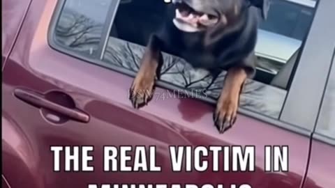 Good Vibrations: Featuring - George Floyd, Renee Good And Alex Pretti.