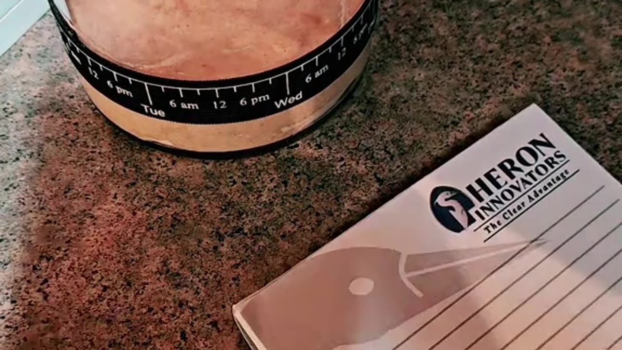 Shipwreck - Sourdough Journey Day 1. The starter.