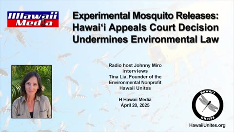 Experimental Mosquito Releases: Hawaii Appeals Court Decision Undermines Environmental Law (4/20/25)