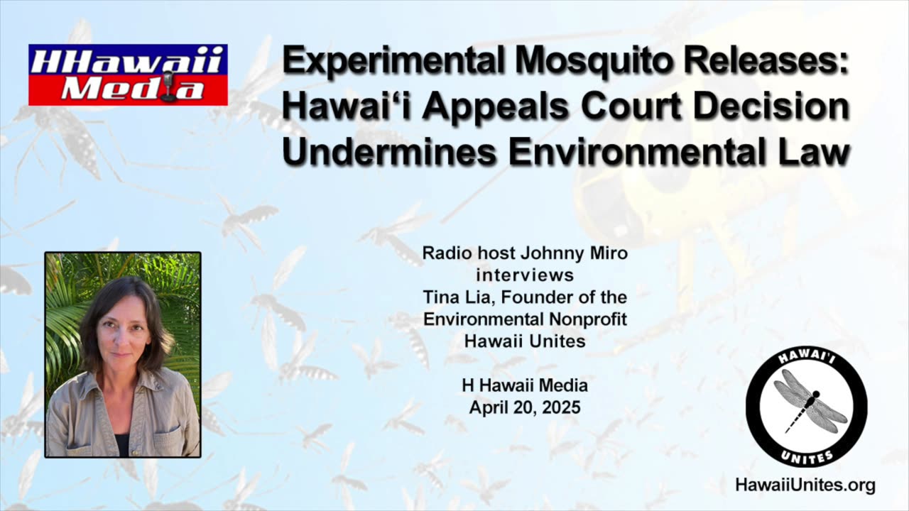 Experimental Mosquito Releases: Hawaii Appeals Court Decision Undermines Environmental Law (4/20/25)