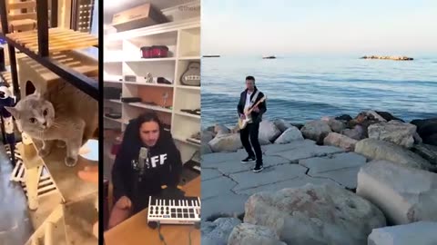 The Kiffness x Spaul 5 CAT song remix