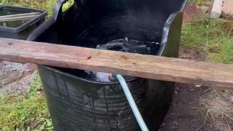 Bath Time