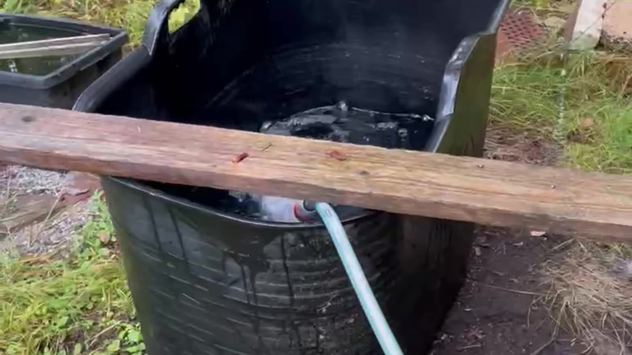 Bath Time