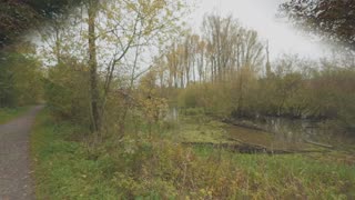 😂🌍 Natur 4k: The Funniest Nature Video! | FunFM