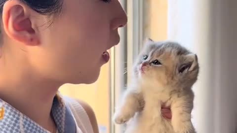 Dog's Comedy Videos 🤣 so cute videos and puppies comedy scenes 😂 so cute 🥰 🥰 🥰 🥰