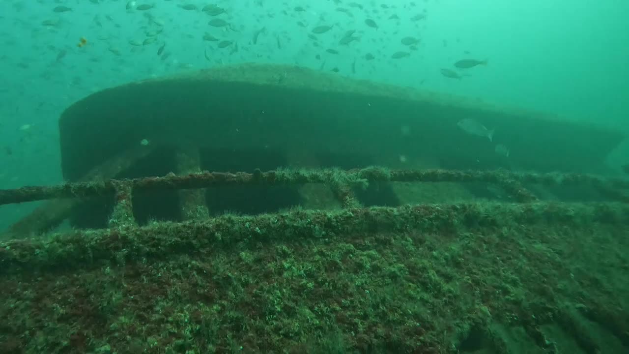 4.23.25 Scuba Diving The Kingfish