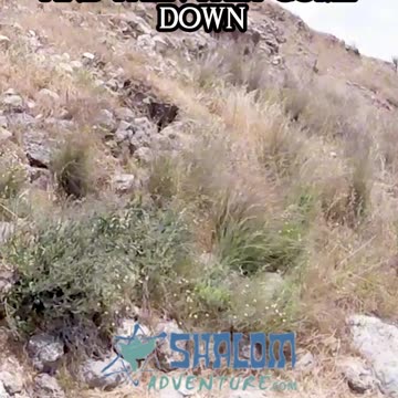 This is how Assyria Trapped Jerusalem #Shorts #RabbiJeffZaremsky