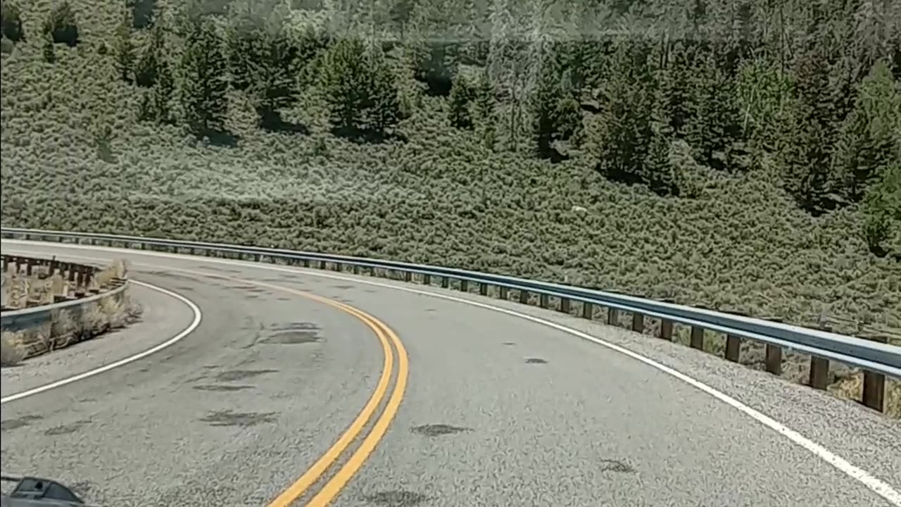 traveling, around, fish, lake, utah