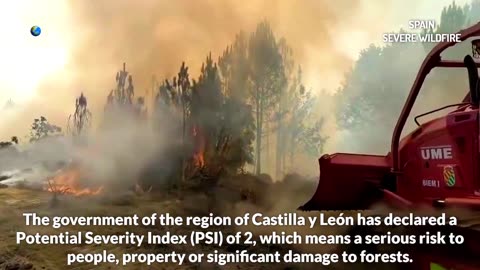 La saison des incendies en Europe bat son plein : l'Espagne est désormais en feu