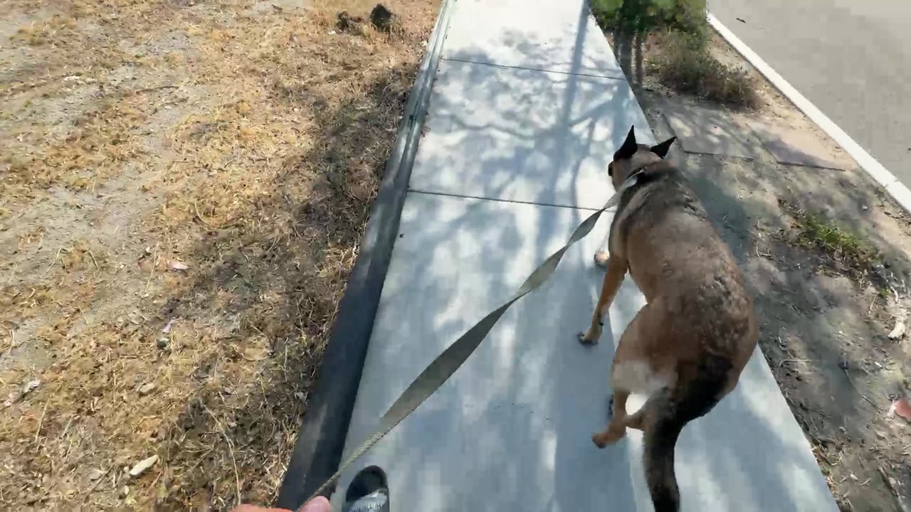 Random Stream IRL