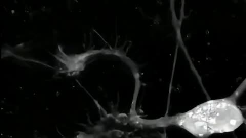 When the brain learns something new 😍