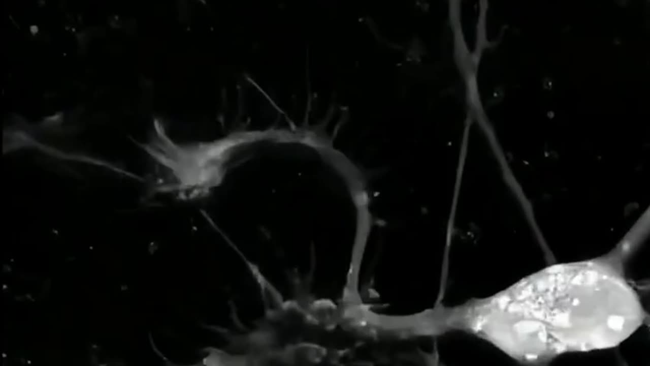 When the brain learns something new 😍