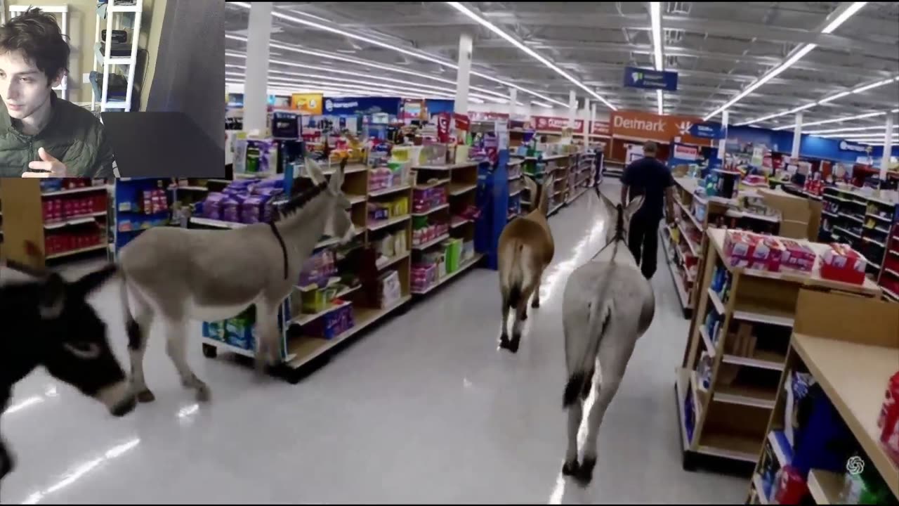 Over 5 Donkeys Roam Around A Walmart Supercenter Fake Funny Parody Video With Live Commentary