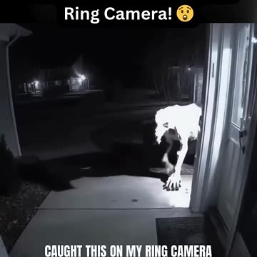 Mysterious Creature Caught on Ring Camera! 😳 What Could It Be