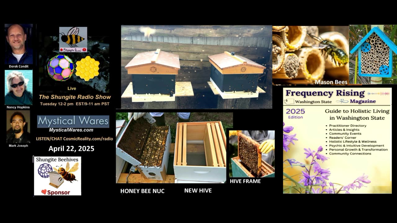 SHUNGITE REALITY 4/22/25 - Shungite Bee Update to Web of Life