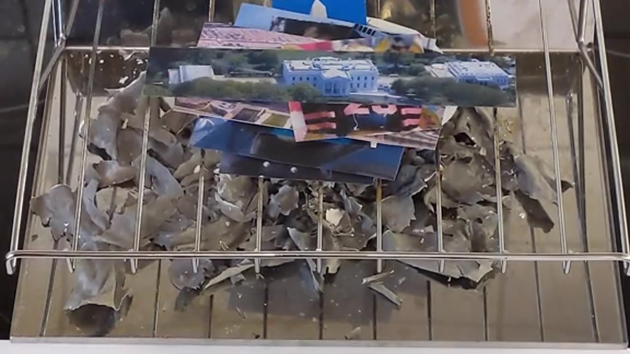 Tim Rifat TikTok Videos