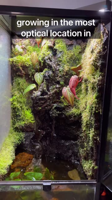 6 month indoor ecosystem!