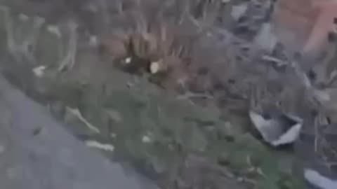Russian Propagandist in Sudza Gets Caught up in Drone Strike