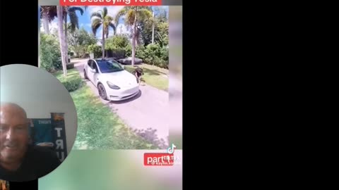 lady arested for shooting tesla