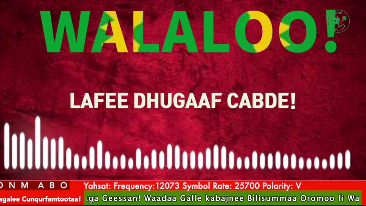 Qophii Walaloo ONM-ABO Ebla 15-2025 itti dhiyaadhaa!