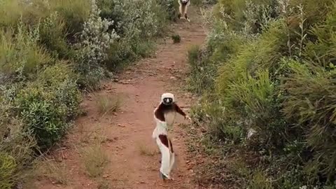 again I like to move it move it