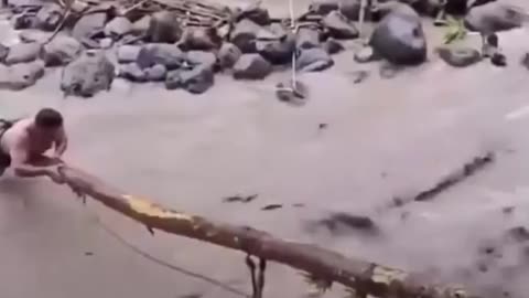 Hombre rescata a una perrita atrapada en un río