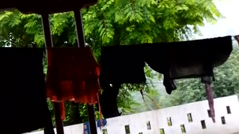 Rainy day