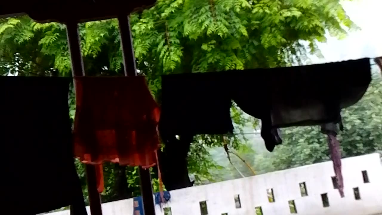 Rainy day