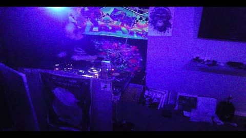 You’re Now Locked Into Timeless !