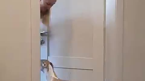 Amazing: Best funny videos prank by Tanya, Senya and Misha - funny dogs #shorts