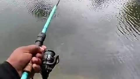 Must Watch: Instant Hookup Fishing Lure!
