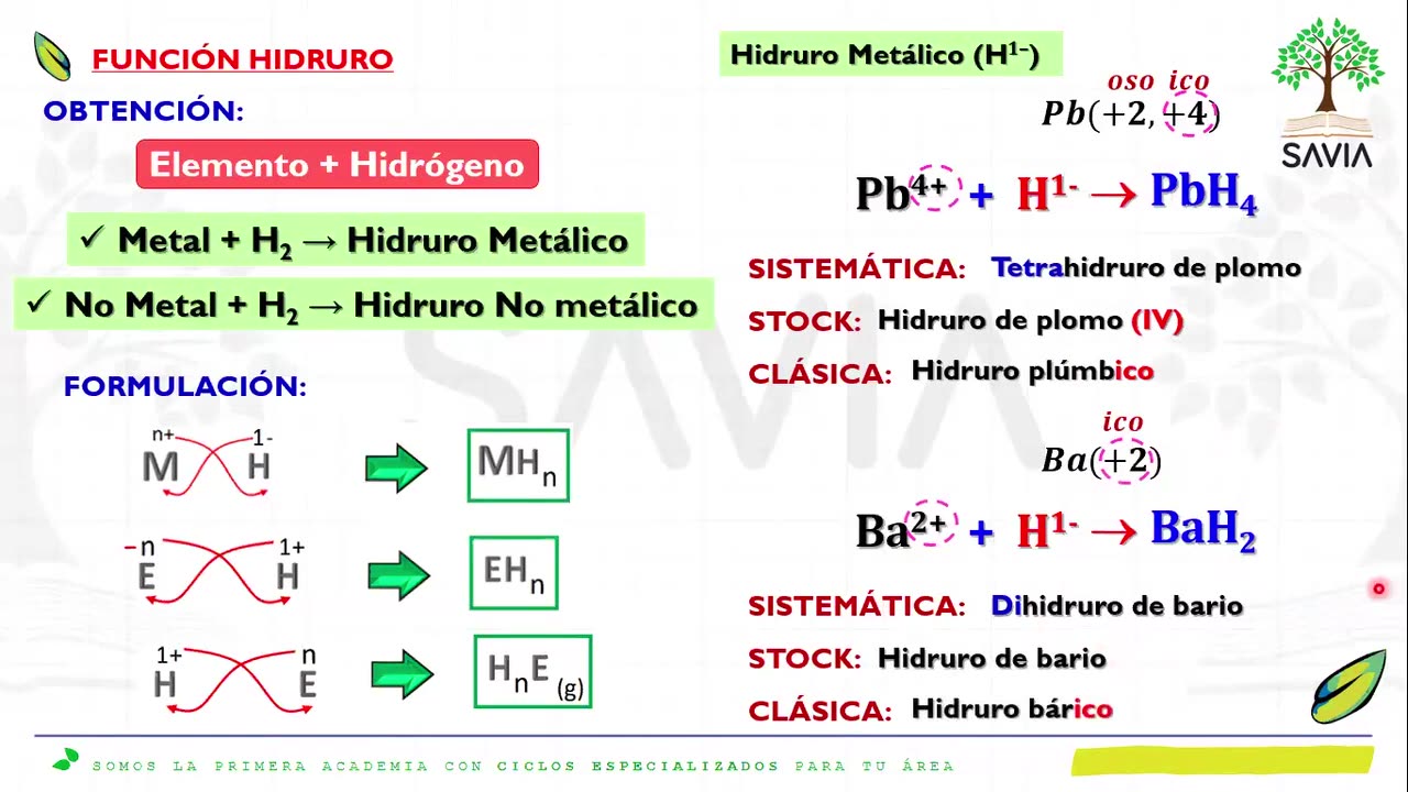 SAVIA REGULAR 2025 | Semana 06 | Química S1