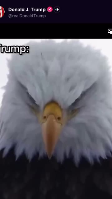 🇺🇸 EPIC‼️ Posted by President Trump on Truth Social 🦅 USA 🗽