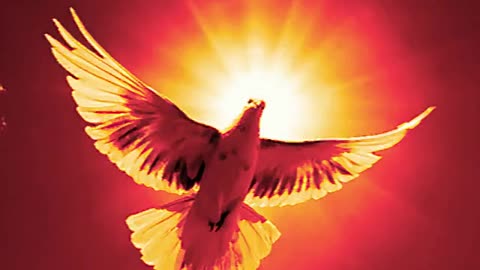 Have You Received the Holy Spirit